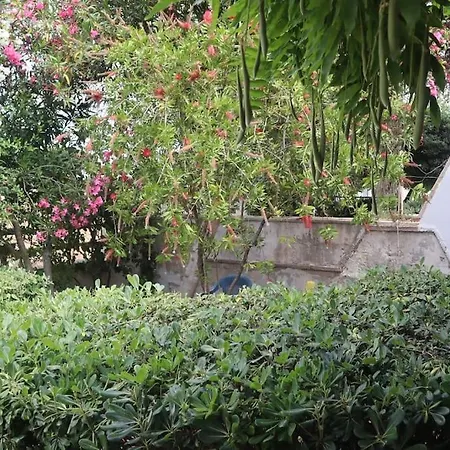 Solemar Casa de Férias *