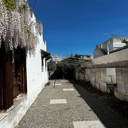 Solemar * Monacizzo