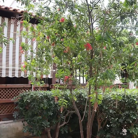 Casa de Férias Solemar *