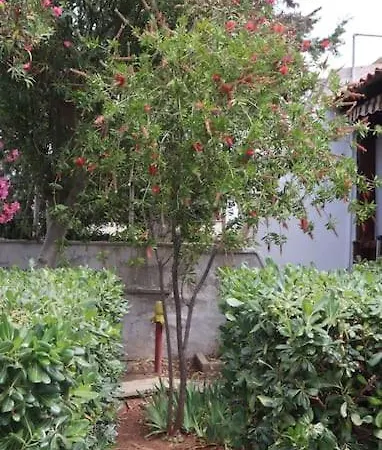 Solemar Casa de Férias *