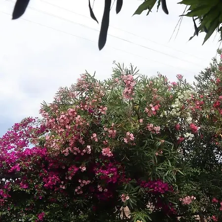Solemar Holiday home Monacizzo
